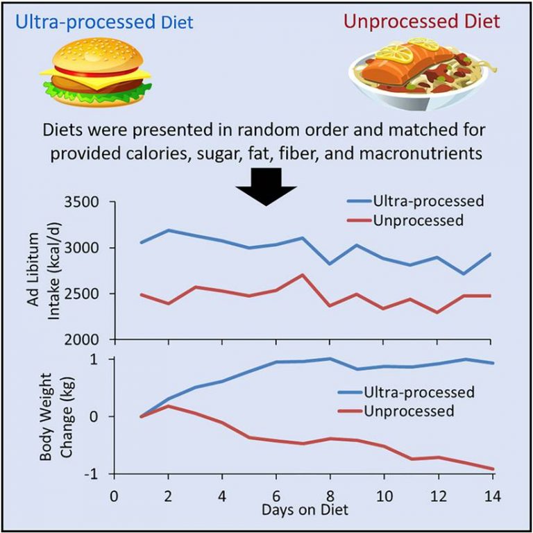 Dangers Of Ultra-Processed Food - Square Box Fitness